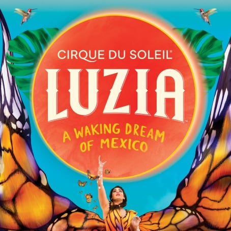 Cirque du Soleil Luzia
