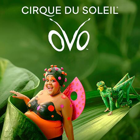 Cirque du Soleil OVO