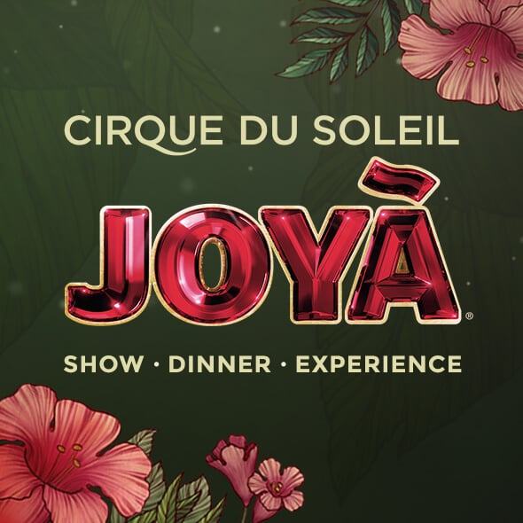 Show Joyà by Cirque du Soleil