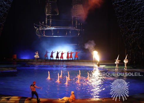 Synchronized Swimming