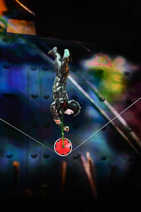 Press kit | Ovo | Cirque du Soleil