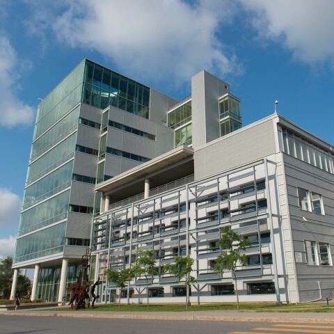 Cirque du Soleil announces the appointment of Mark Cornell as president and chief executive officer