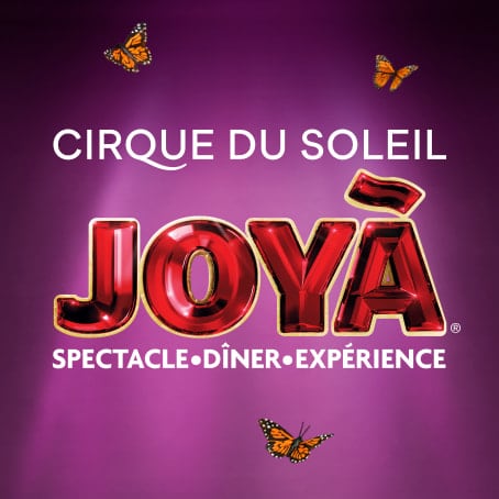 Cirque du Soleil Joyà