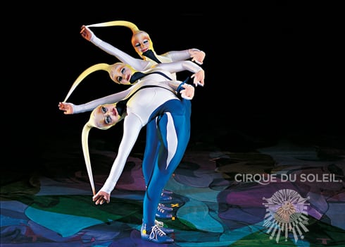 Les Spermatos et les Spermatites