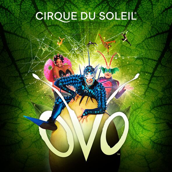 Cirque du Soleil Ovo